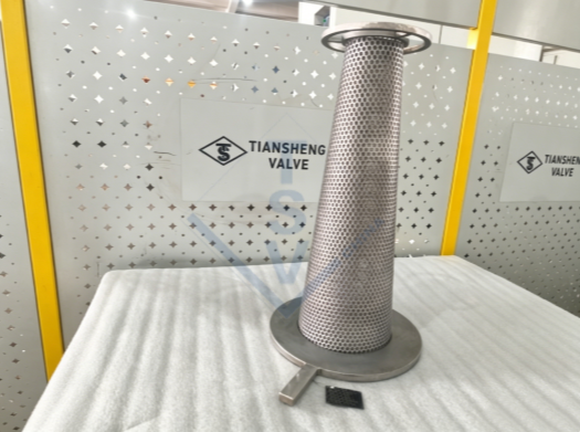 Temporary strainer